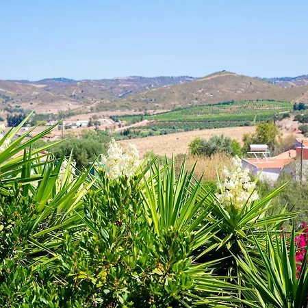Countryside Oasis Near Nyaraló Silves